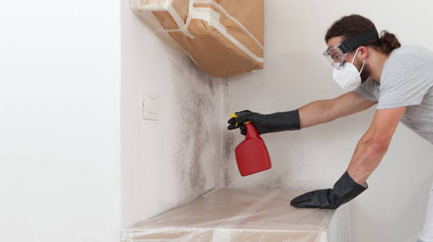 Professional Attic Mold Removal technician working in Wanaque, NJ